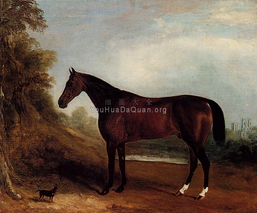 Father Of Champions - 约翰·弗恩利